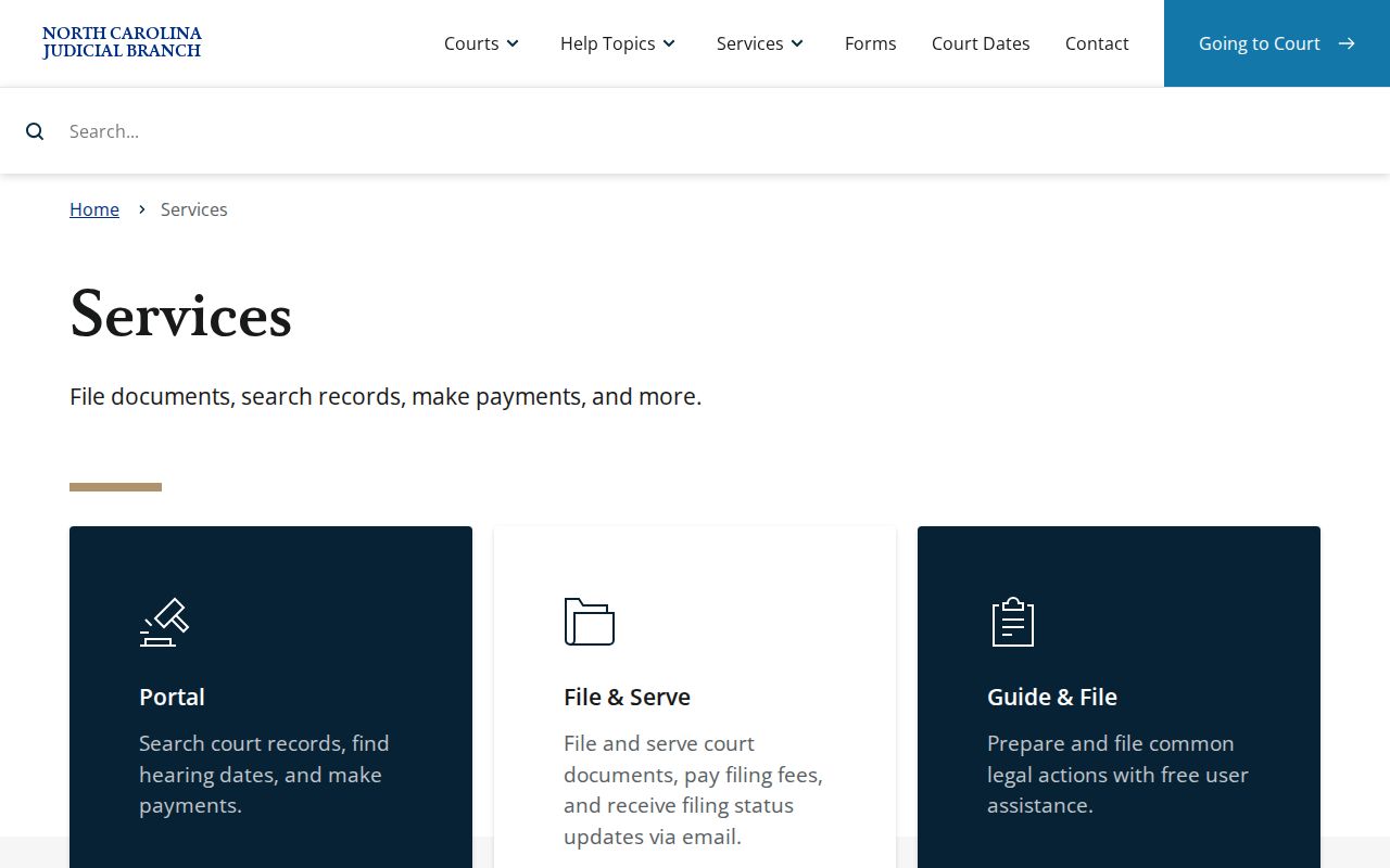 Alexander County case search eCourts services overview