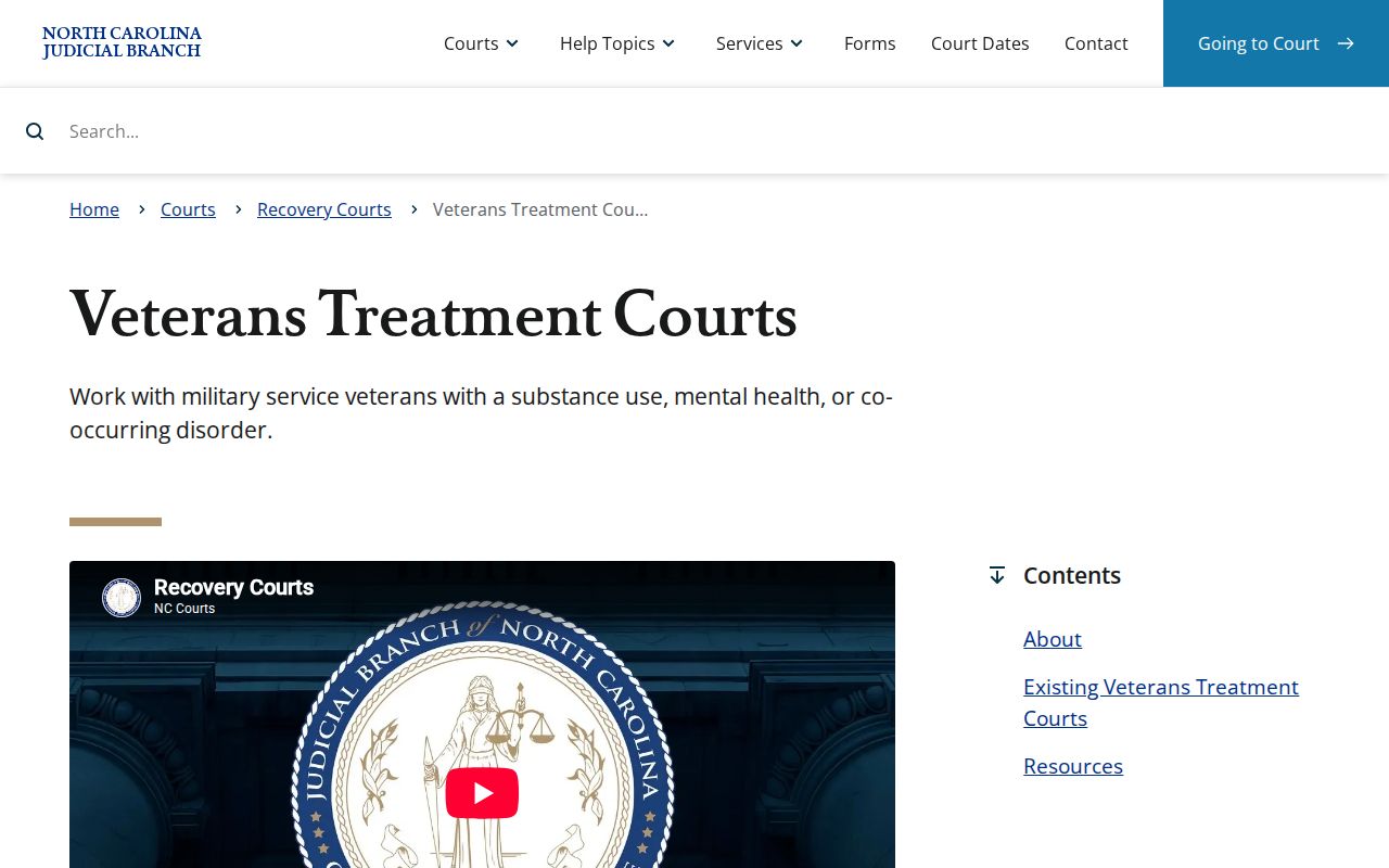 Alexander County court calendar Veterans Treatment Court resource