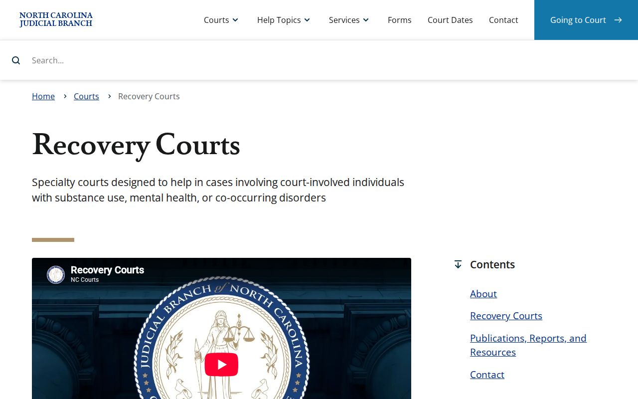 Alexander County criminal docket recovery courts reference